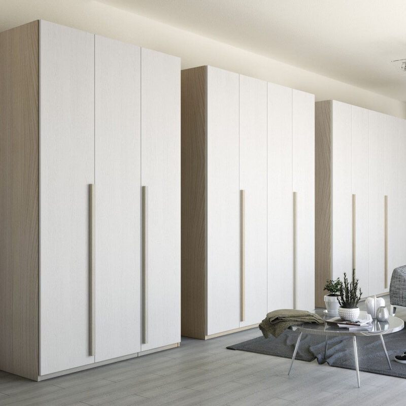 Armadio in stile moderno bianco frassinato e olmo